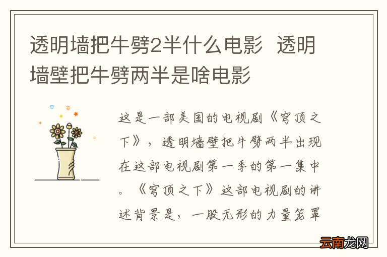 透明墙把牛劈2半什么电影透明墙壁把牛劈两半是啥电影