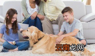 睿名字的含义是什么? 睿名字的含义介绍