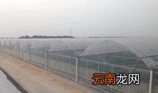 东北暖棚建造方法 原来是这样建造的