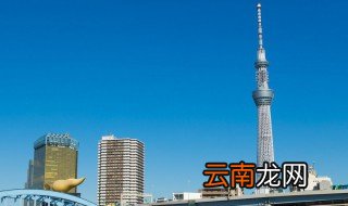东京电视台的梗 东京电视台是什么梗详解