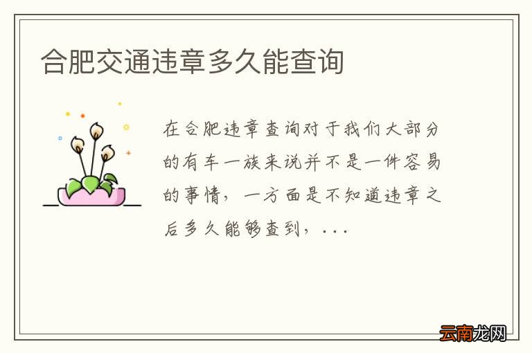 合肥交通违章多久能查询