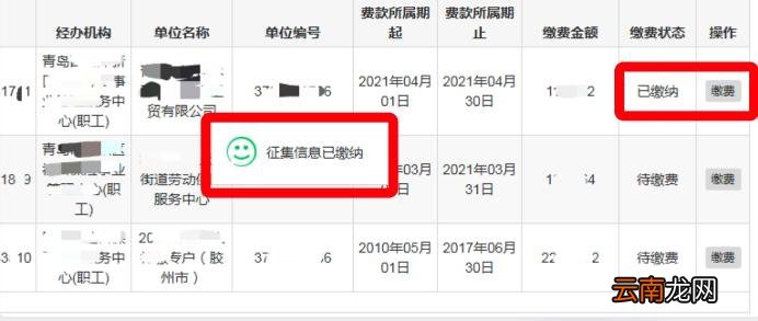 青岛市个人补缴社保欠费流程