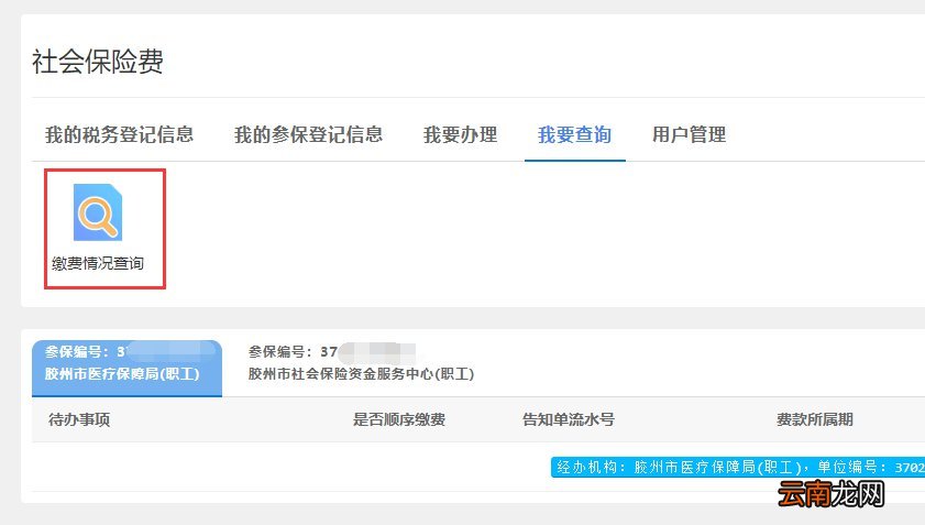 青岛市电子税务局社保缴费查询流程