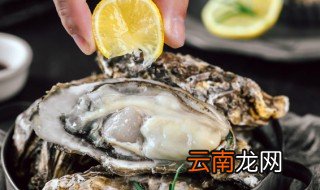 生蚝肉冷冻可以保存多久 生蚝肉冷冻可以保存的时间