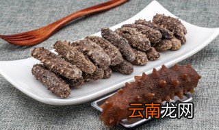 新鲜海参怎么保存方法 新鲜海参的保存方法