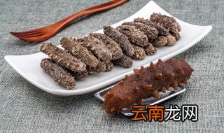 泡发海参保存方法 海参泡发后如何保存