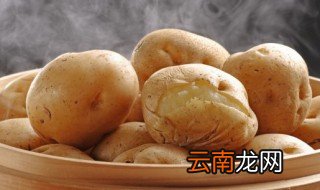 土豆可以放在冰箱冷藏保存吗 土豆能不能放冰箱