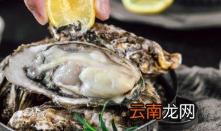 生蚝可以放冰箱冷冻保存吗 生蚝能不能放冰箱冷冻保存