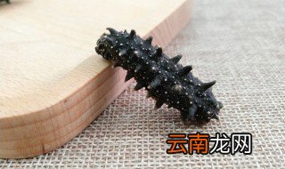 干海参如何保存方法 干海参的保存方法