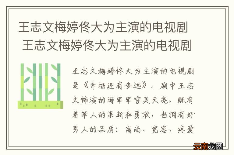 王志文梅婷佟大为主演的电视剧 王志文梅婷佟大为主演的电视剧是什么