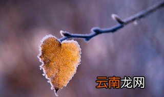 霜降时节怎么钓鲤鱼 霜降时节如何钓鲤鱼