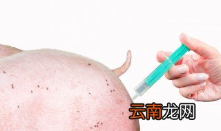猪打疫苗反应怎么办 猪打疫苗后不良反应怎么办