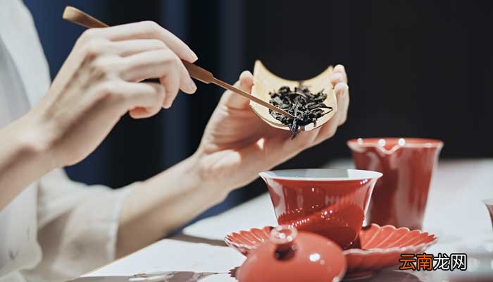 及时行乐下一句是什么 及时行乐下一句是什么