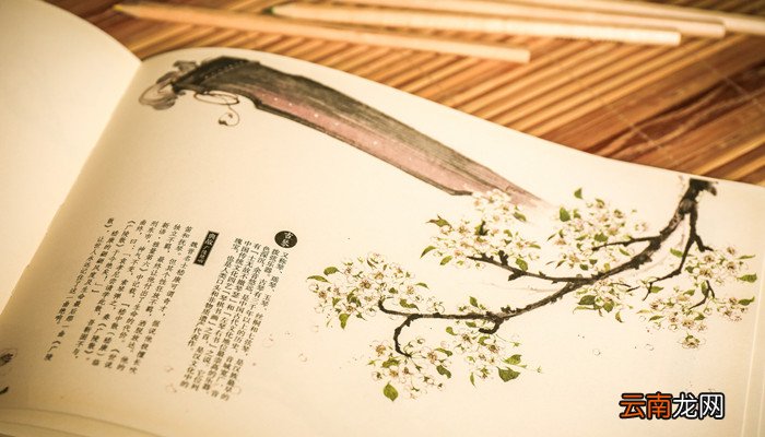 文言文二则囊萤夜读铁杵成针翻译 囊萤夜读文言文原文及翻译