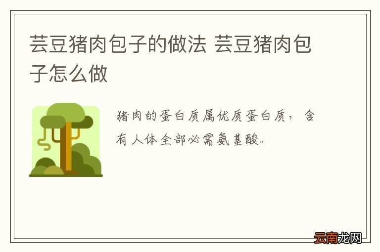 芸豆猪肉包子的做法 芸豆猪肉包子怎么做