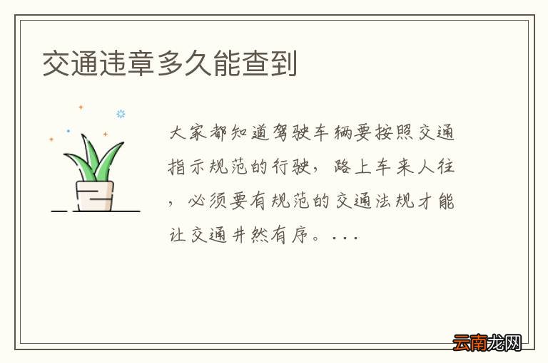 交通违章多久能查到