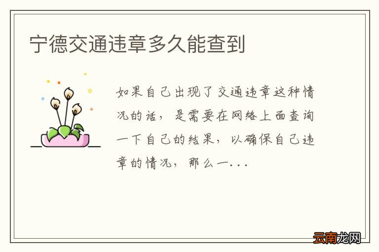 宁德交通违章多久能查到