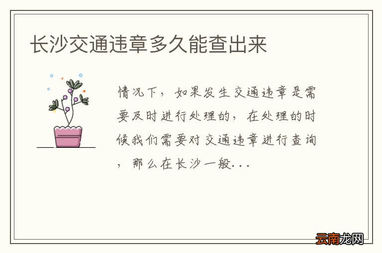 长沙交通违章多久能查出来