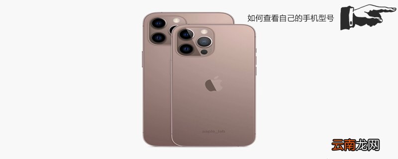 如何查看自己的手机型号