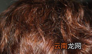 烫完头发毛躁怎么办 可以这样做