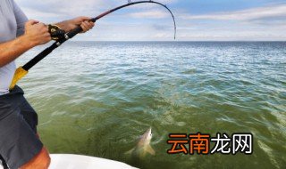 钓鱼红虫如何保存好 钓鱼红虫怎么保存好