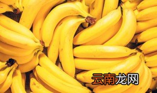 冬天香蕉怎么保存 如何在冬天保存香蕉