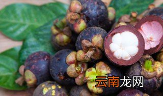 山竹能放在冰箱保存吗 山竹能不能放在冰箱保存