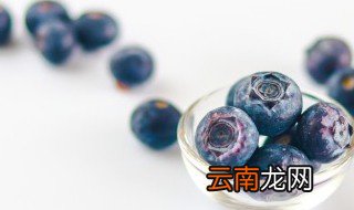 水果店蓝莓怎么保存 蓝莓如何保存