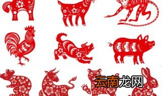 2019属什么生肖 怎么算你知道吗