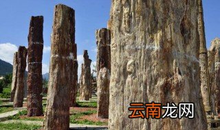 硅化木怎样加工 又叫什么
