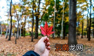 关于秋天的作文200字 我爱秋天的200字作文