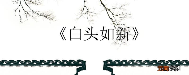 白头如新的主人公 白头如新的意思