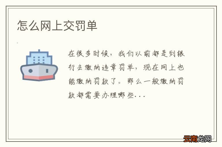 怎么网上交罚单