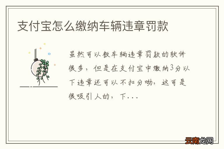 支付宝怎么缴纳车辆违章罚款