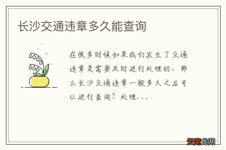 长沙交通违章多久能查询