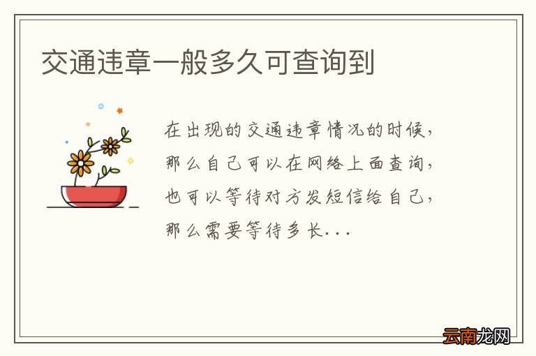 交通违章一般多久可查询到