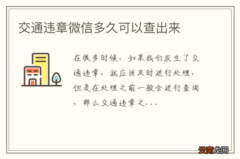 交通违章微信多久可以查出来