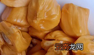 菠萝蜜核能不能吃 菠萝蜜简介