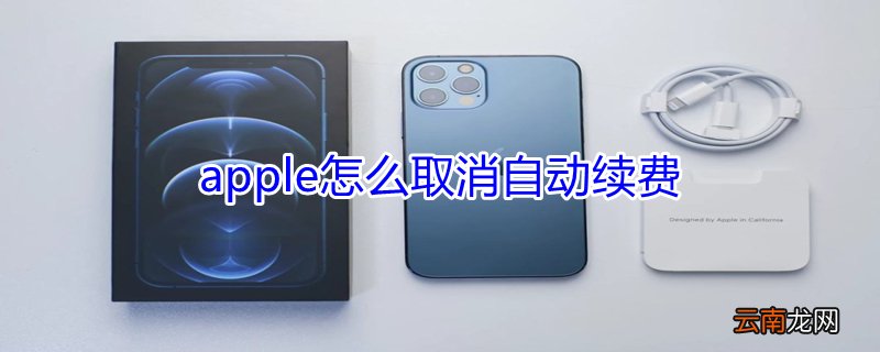 apple怎么取消自动续费