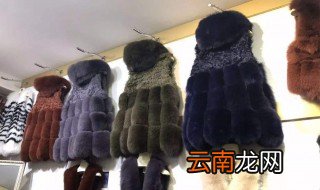 如何挑选貂皮 3个貂皮的选购技巧