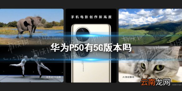 华为p50有5g版本吗 华为p50芯片情况