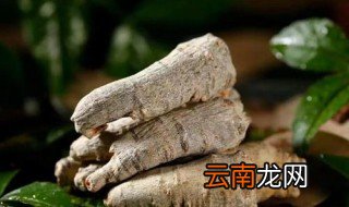 土三七的功效与作用及食用方法 土三七的功效与作用介绍