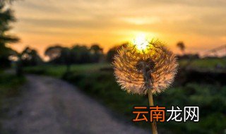 文艺昵称女生男生 文艺昵称精选
