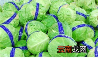 大头菜怎么保存 大头菜保存方法介绍