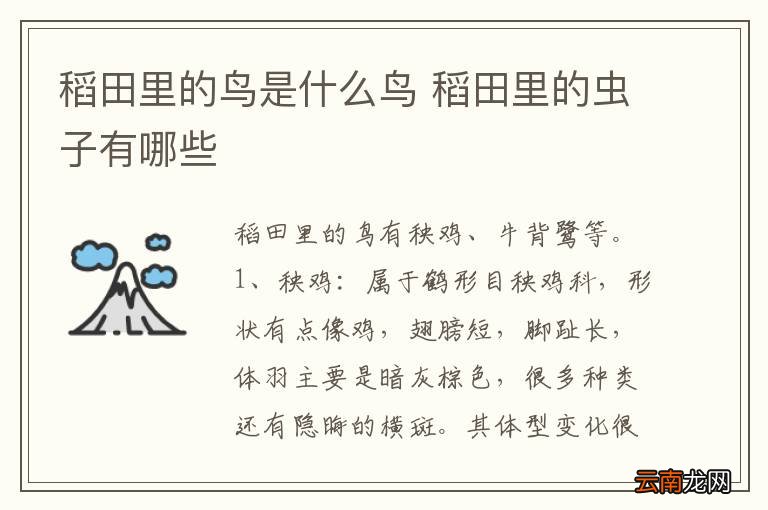 稻田里的鸟是什么鸟 稻田里的虫子有哪些