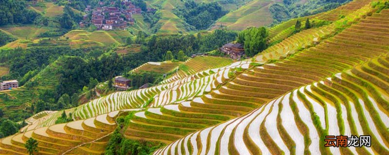 都安县属于哪个市 都安县的旅游资源有哪些