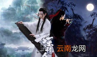 魏无羡和蓝忘机是什么关系 生死患难