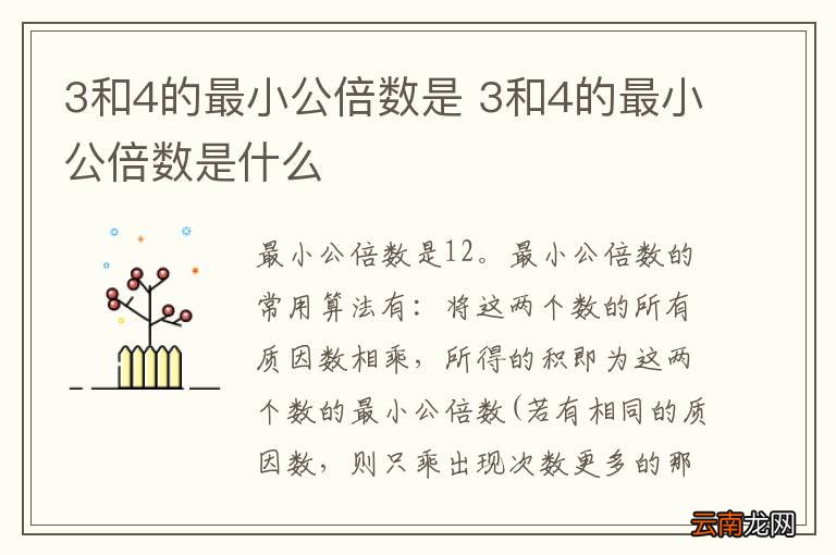 3和4的最小公倍数是 3和4的最小公倍数是什么
