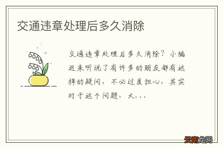 交通违章处理后多久消除