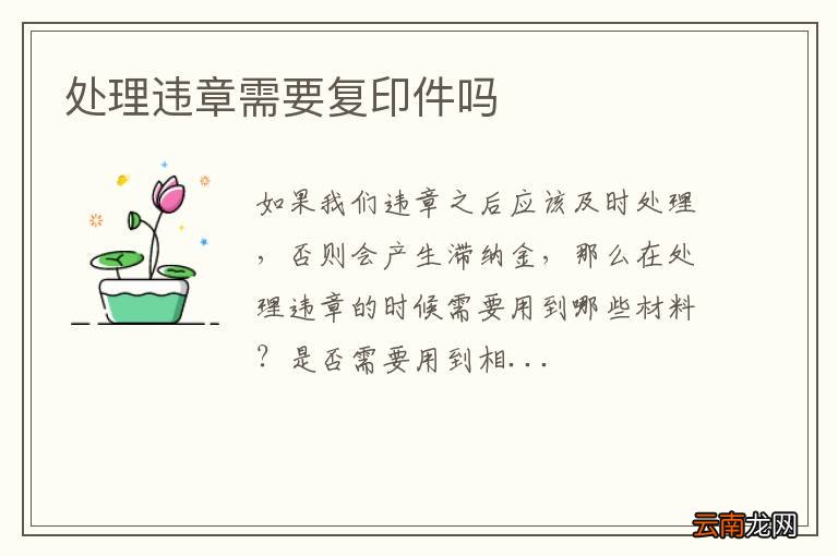 处理违章需要复印件吗